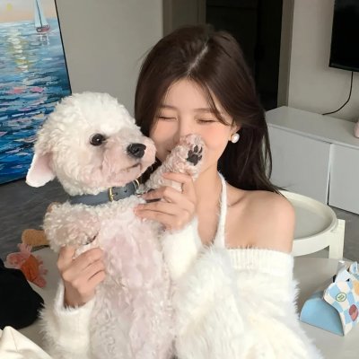 纽约侠客行